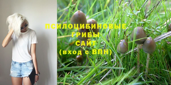 таблы Кукмор