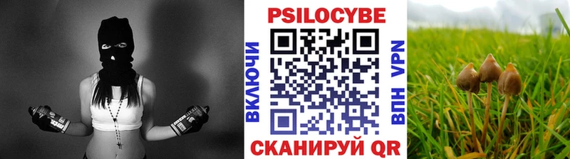 сайты даркнета Telegram  блэк спрут онион  Сызрань  Галлюциногенные грибы MAGIC MUSHROOMS 